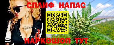 крисы Северобайкальск