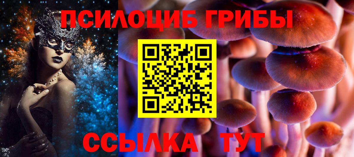 Галлюциногенные грибы мицелий Новый Уренгой