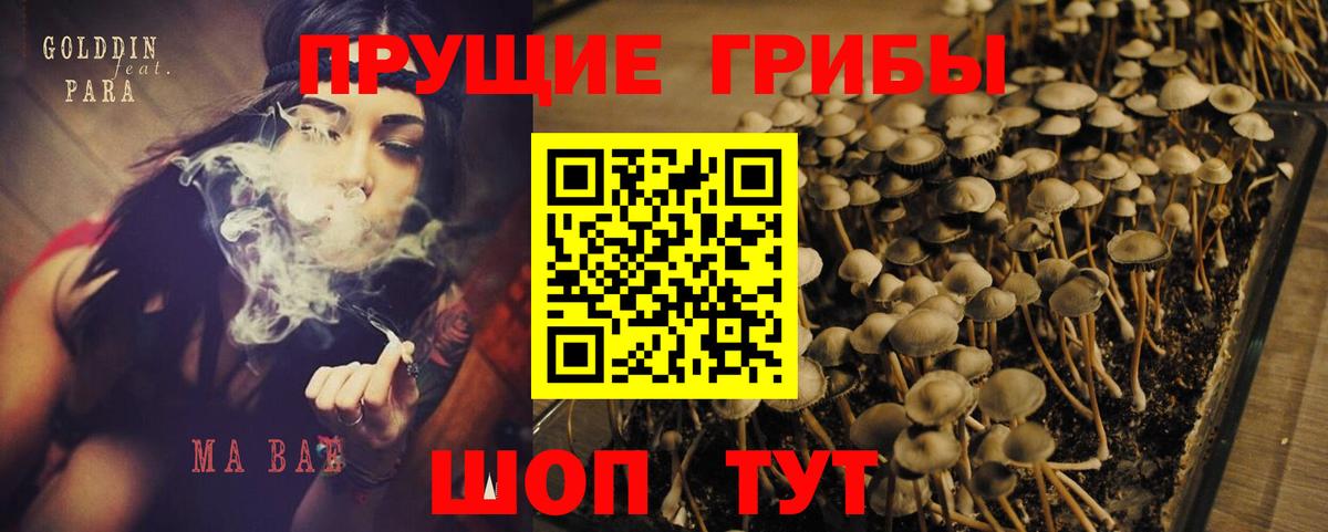 Новый Уренгой  Галлюциногенные грибы Cubensis  Вход с VPN 